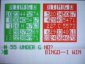 Bingo